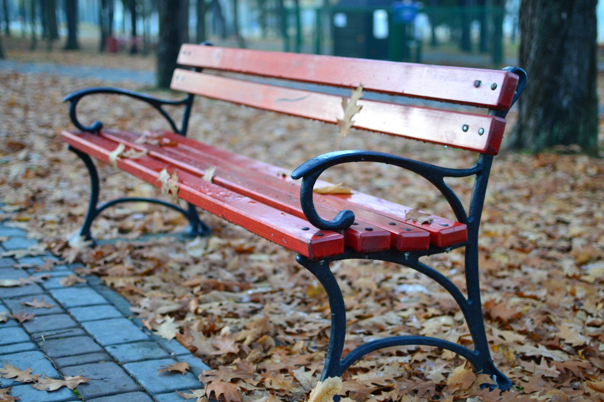 A red park bench is surrounded by leaves on the sidewalk.