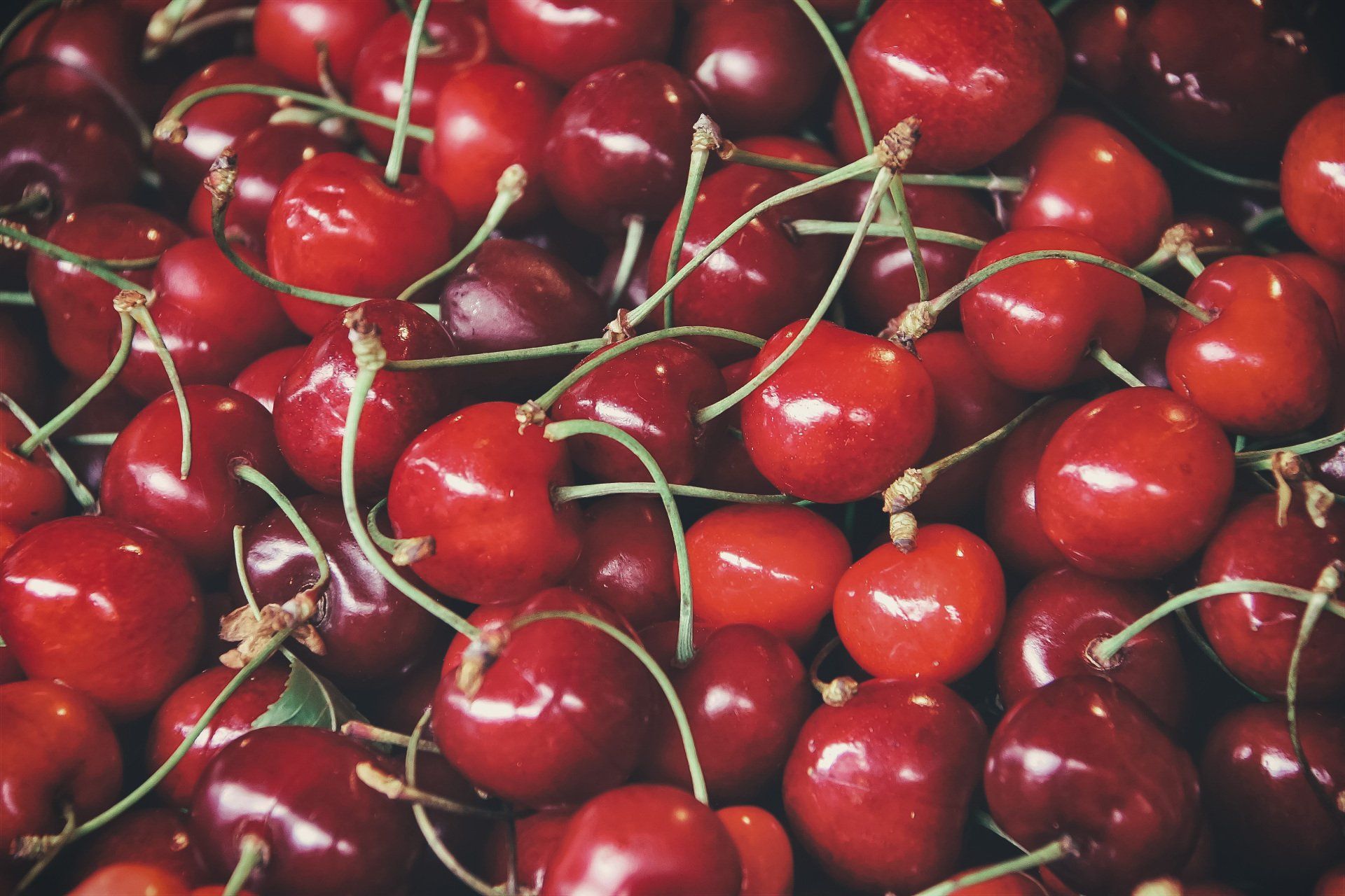 Marlborough Farmers Market News