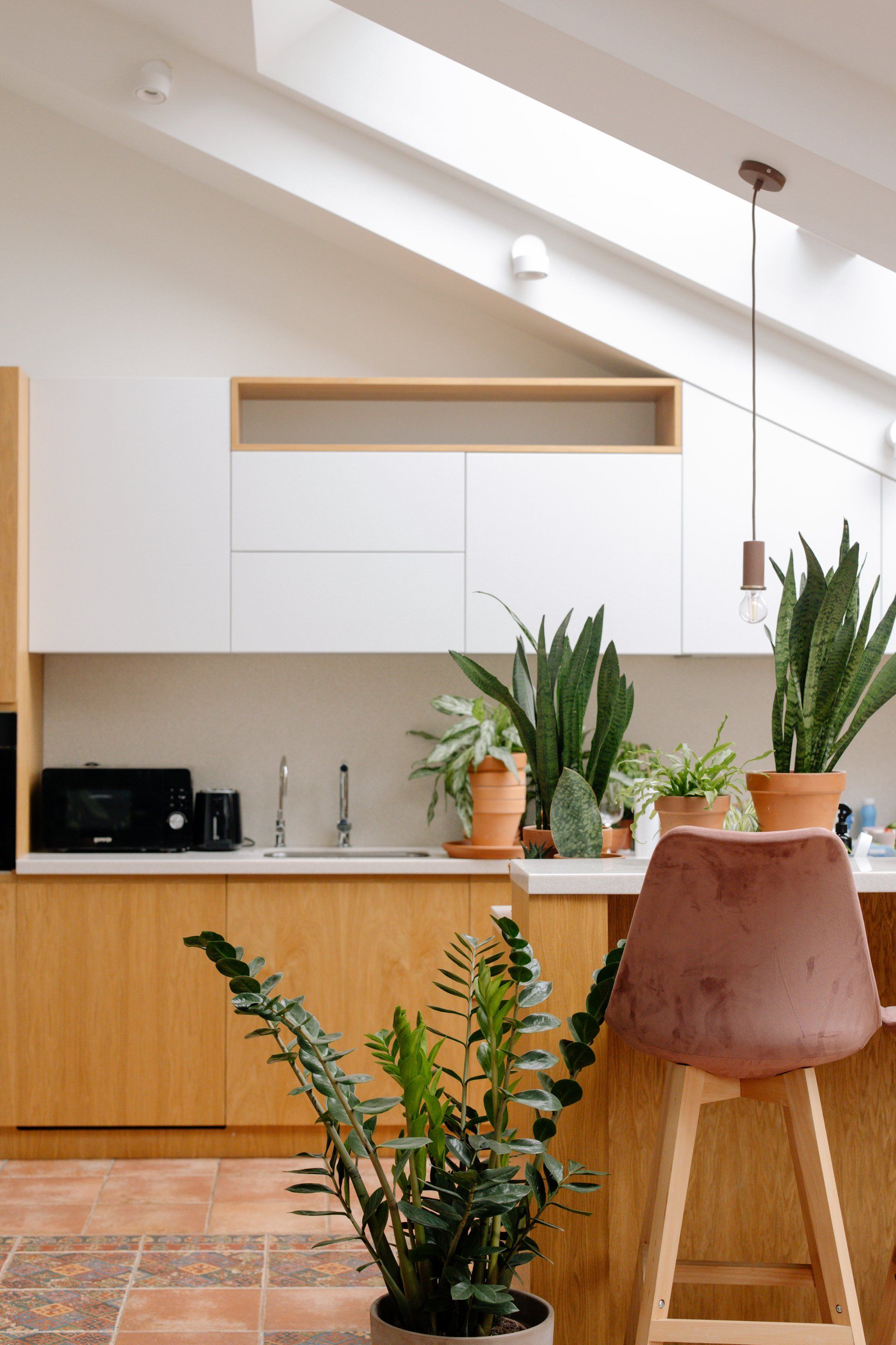 A kitchen with a lot of potted plants on the counter.