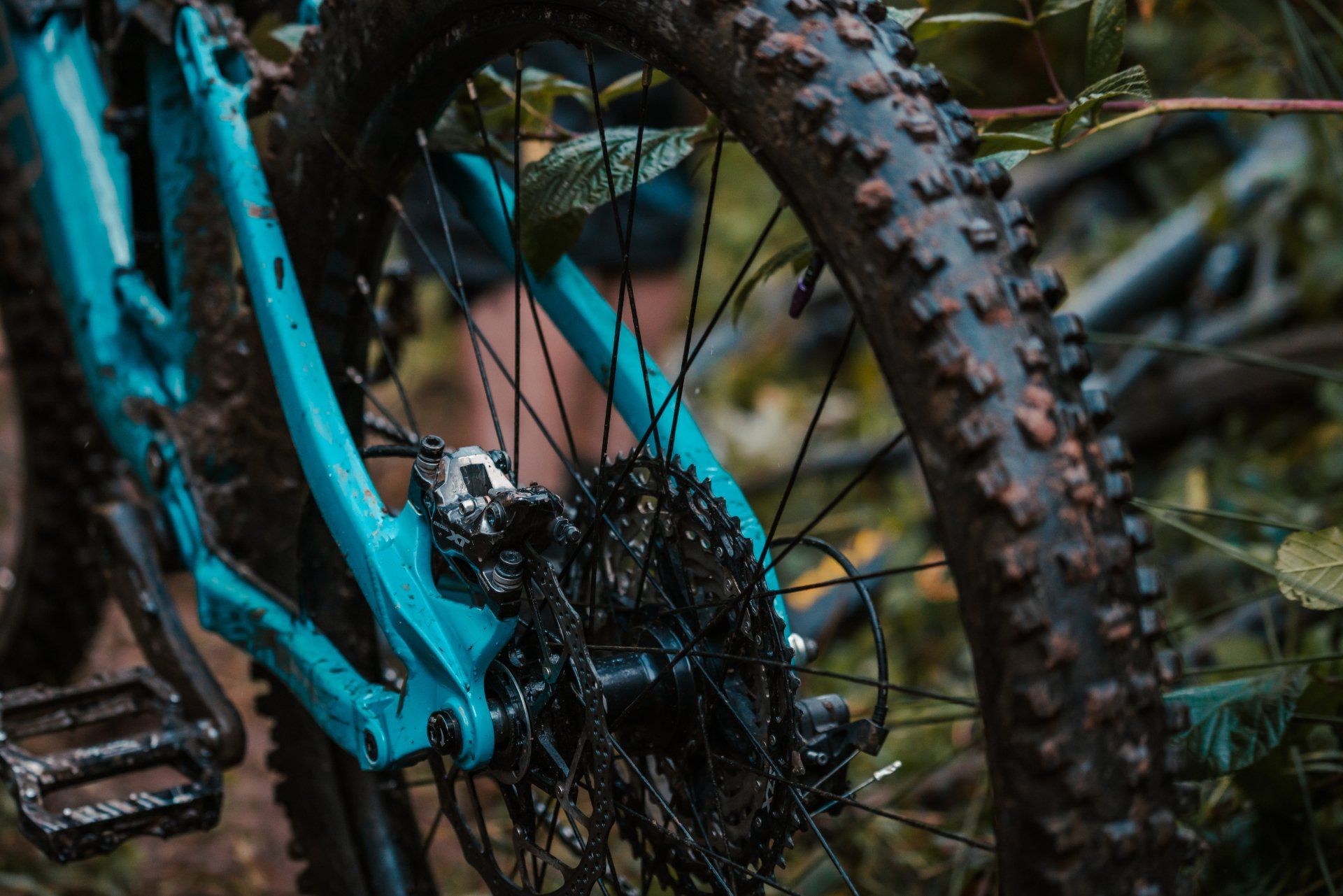 displaying brakes on a MTB