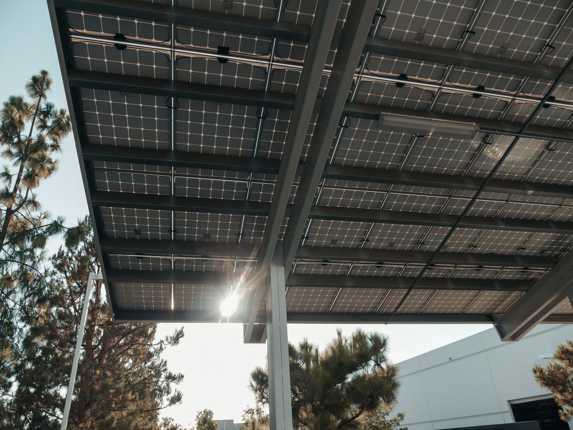 Solar panels on a metal canopy with trees and a building in the background, sunlight shining through.
