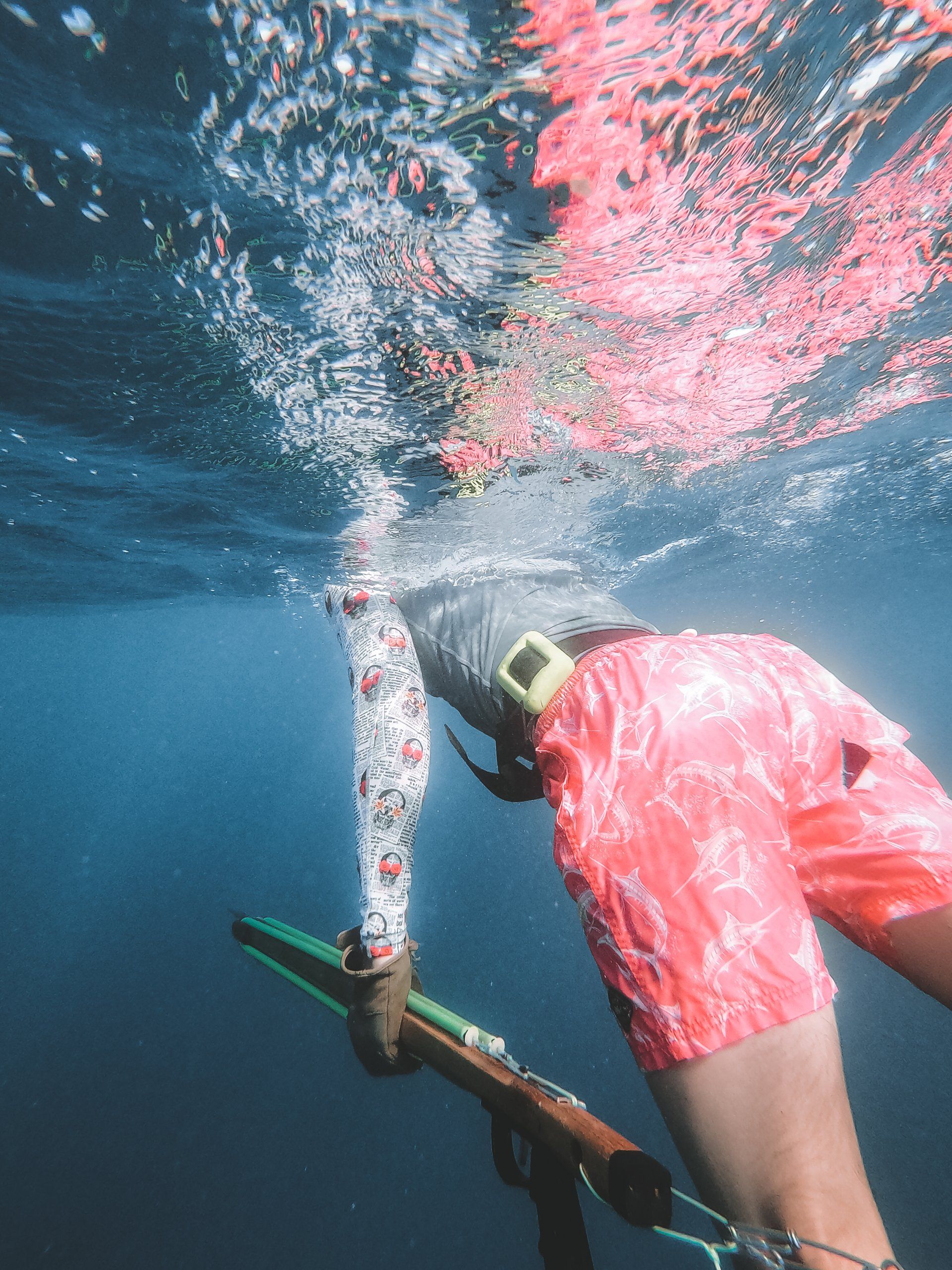Scuba Diving in Tofo Mozambique