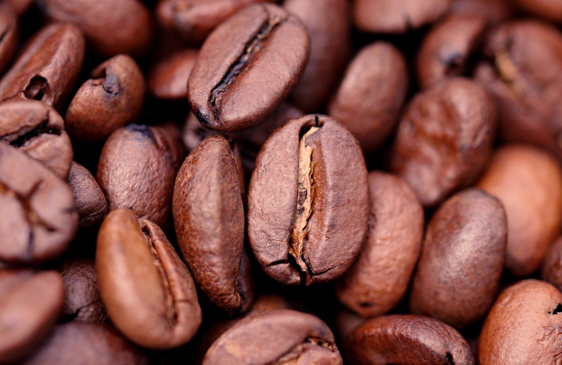 coffee beans