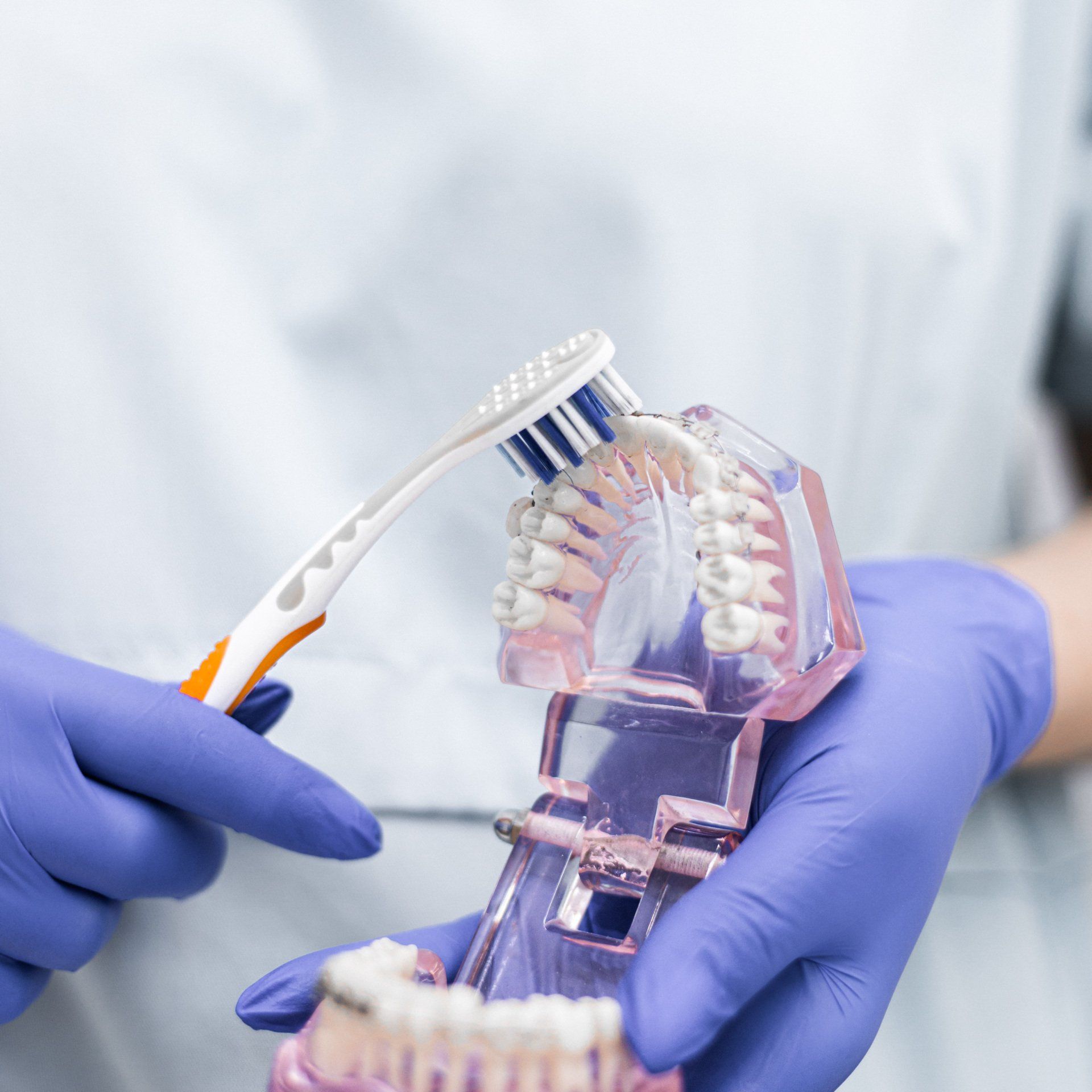 denturist brushing a model of teeth with a toothbrush.
