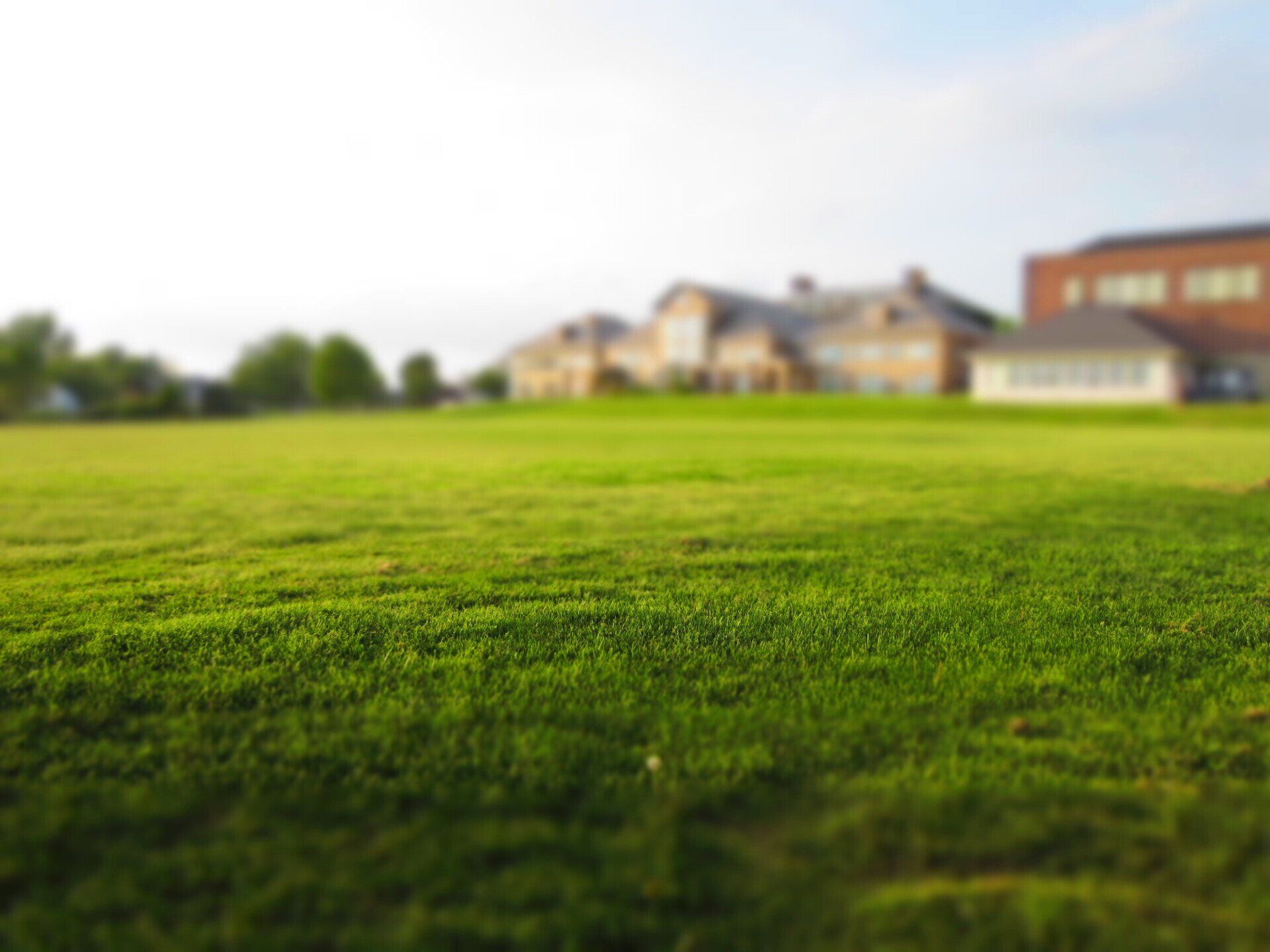A blurred background of buildings behind a vibrant green grass field under a bright sky.