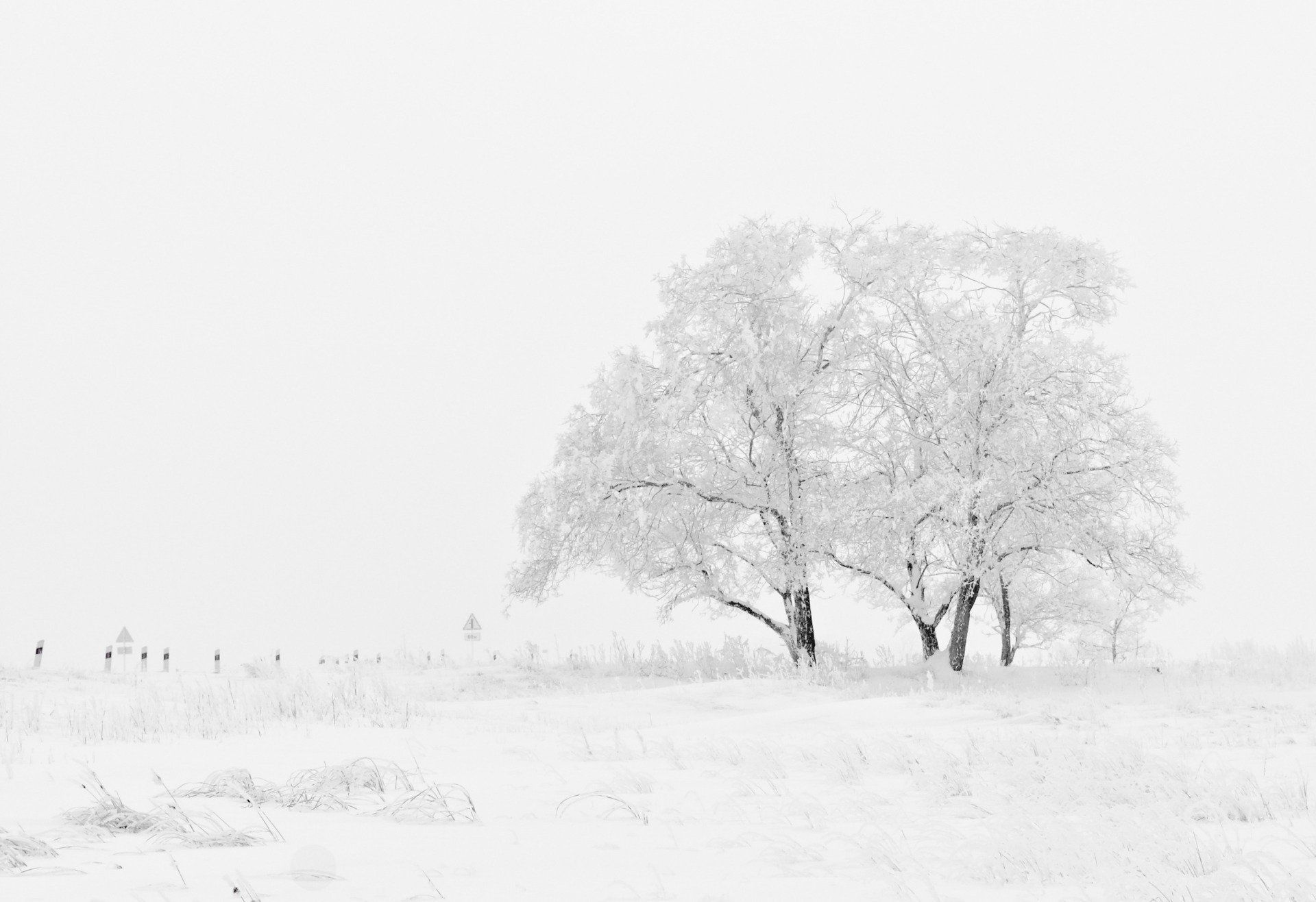 sneeuwlanschap