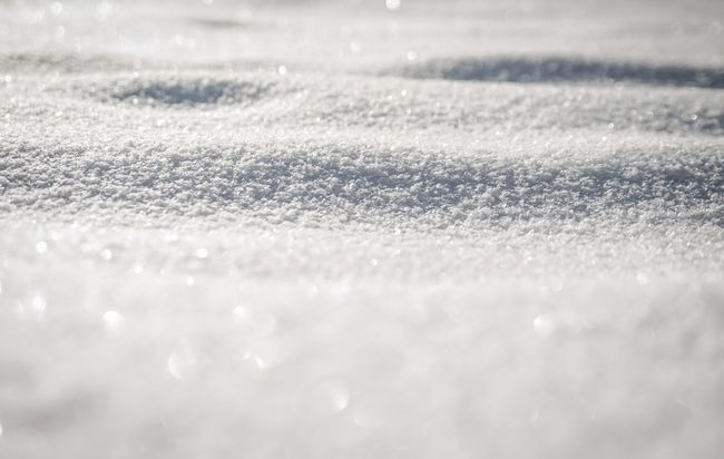 snow-laden ground