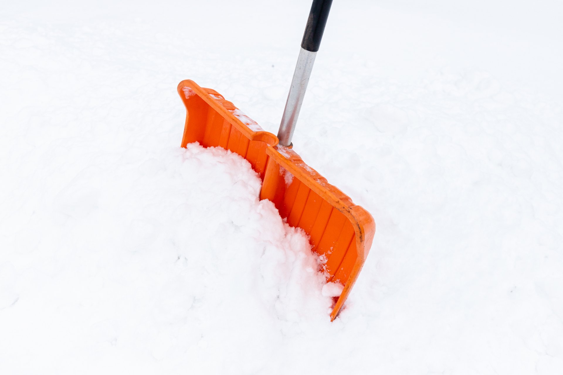 Property Management Crested Butte Mountain Home Management