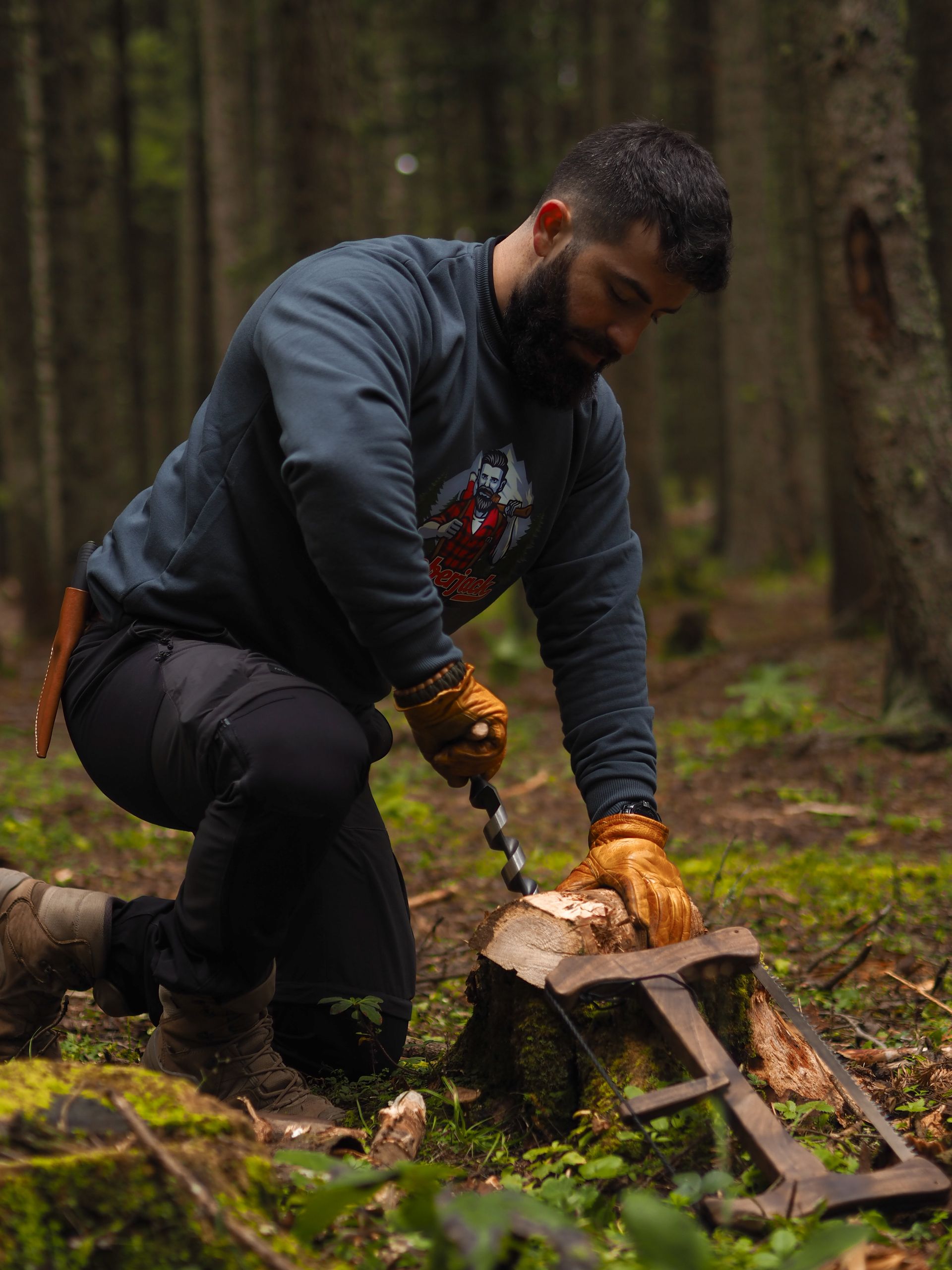 Tree Service- Tree Trimming in the forest