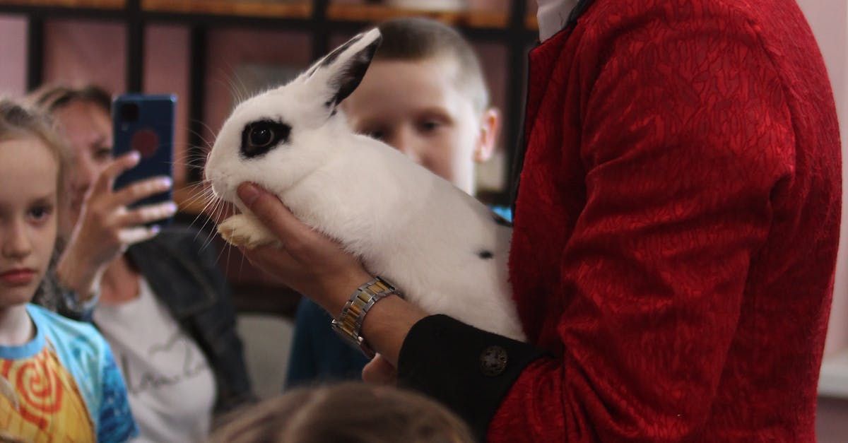 Thrillville at Camp Jordan