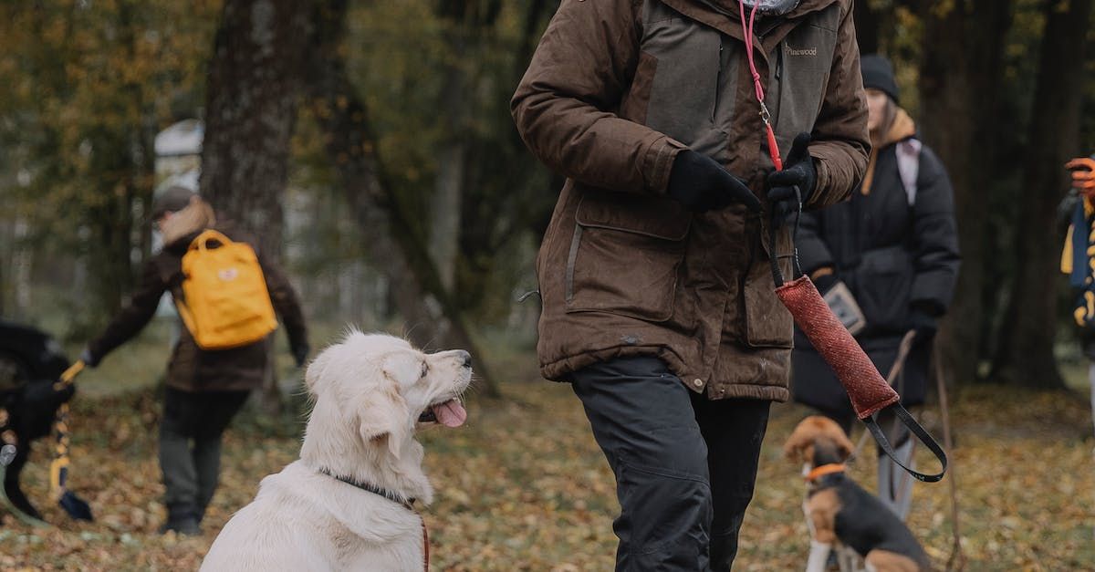 Agria Pet Insurance with Sky Kennels