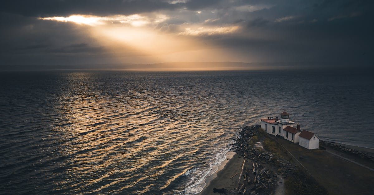 Find Your Ideal Living Space Powell Property Management