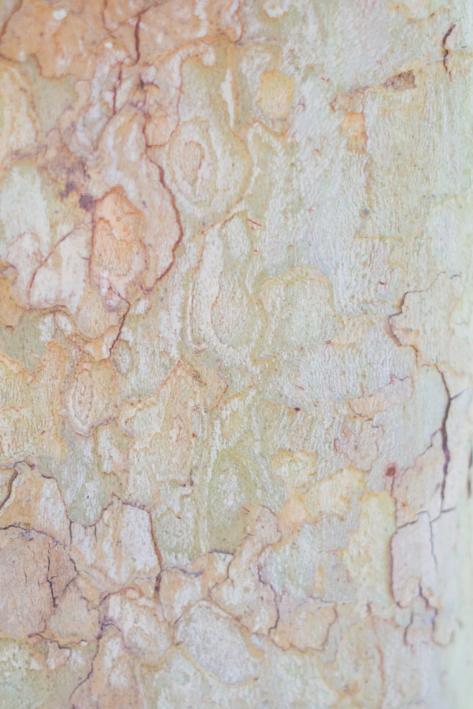 The Benefits of Quartz and Granite Countertops for the Kitchen