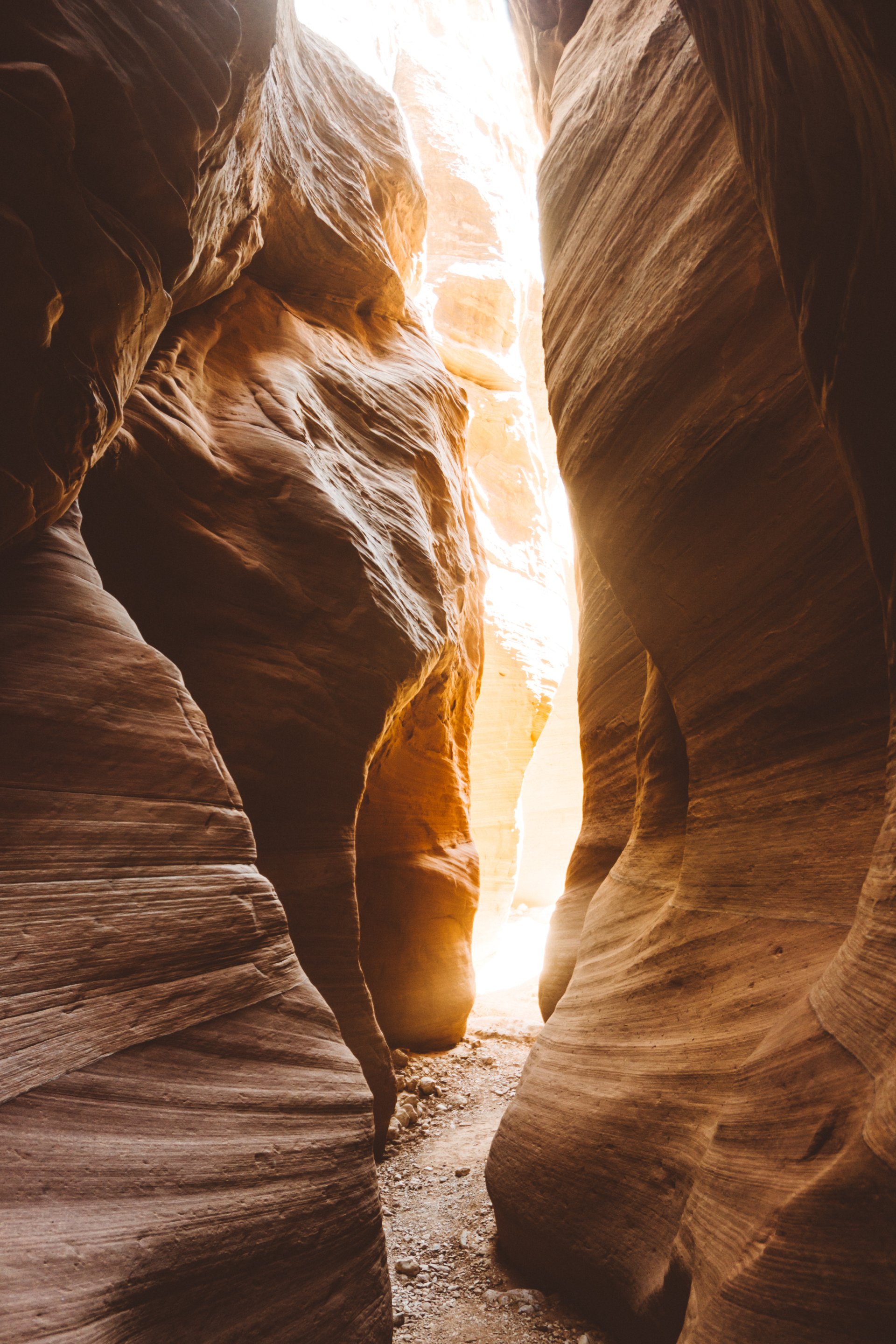Arizona History Homeschool Lessons