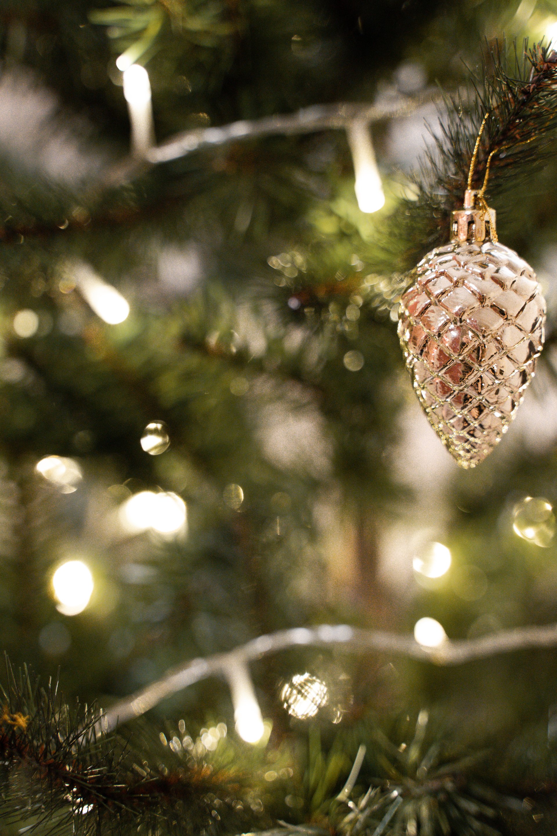 1 Christmas Light Installation in Columbia, Mo Atkins