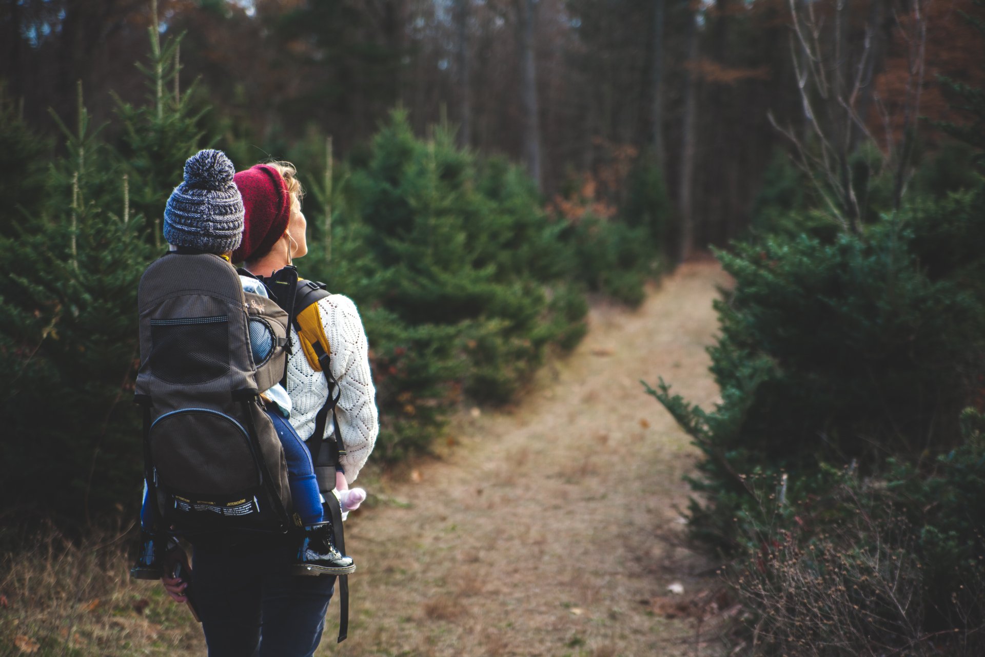 Forest Explorers | Delamere Forest | Cheshire