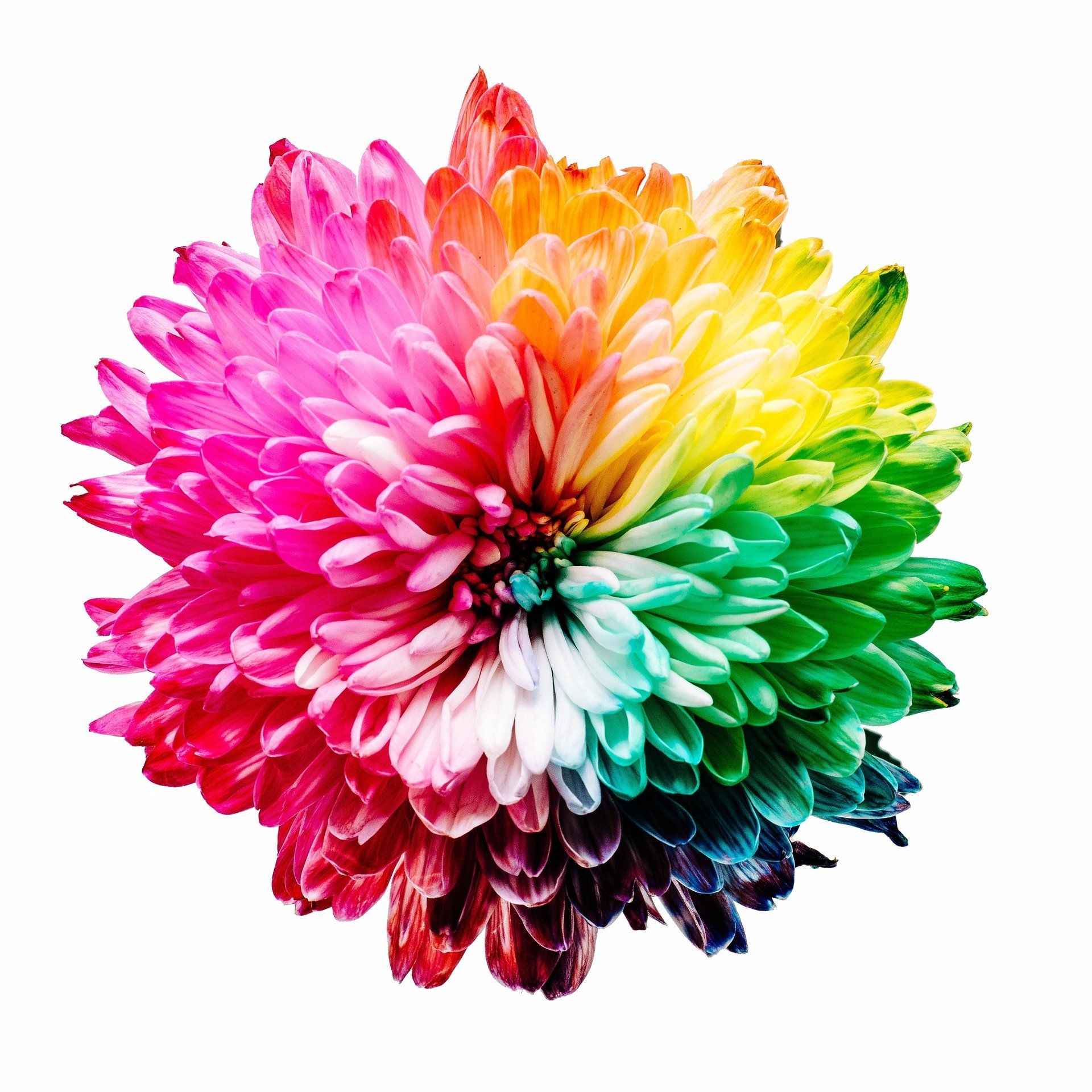 website design color schemes