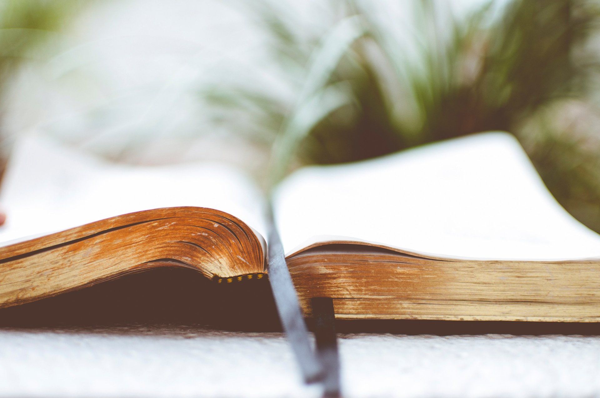 evangelism community outreach, christian sports outreach, evangelism ministry, outreach america, evangelism community outreach, school of evangelism, what to preach during evangelism, christian evangelism training, evangelism training materials, open air preaching, sports ministry degree,