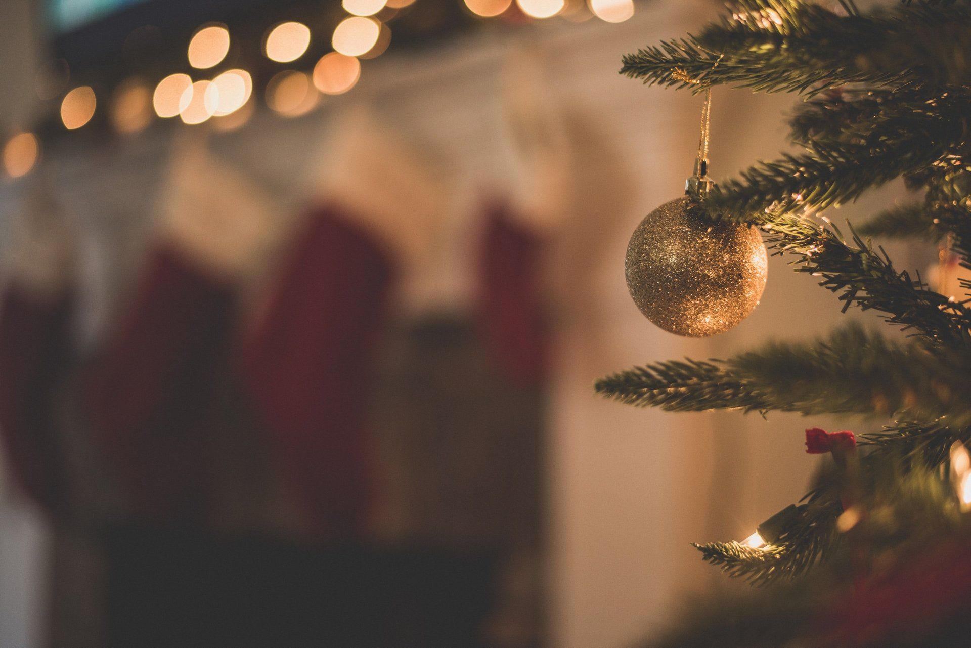 A close up of a christmas tree with a gold ornament hanging from it.