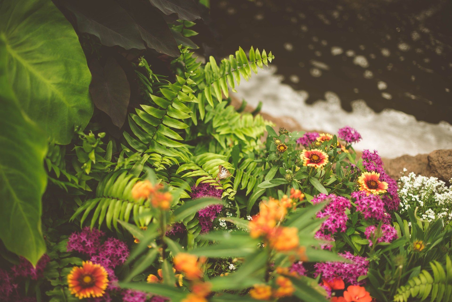 A bunch of flowers and ferns are growing next to a body of water.