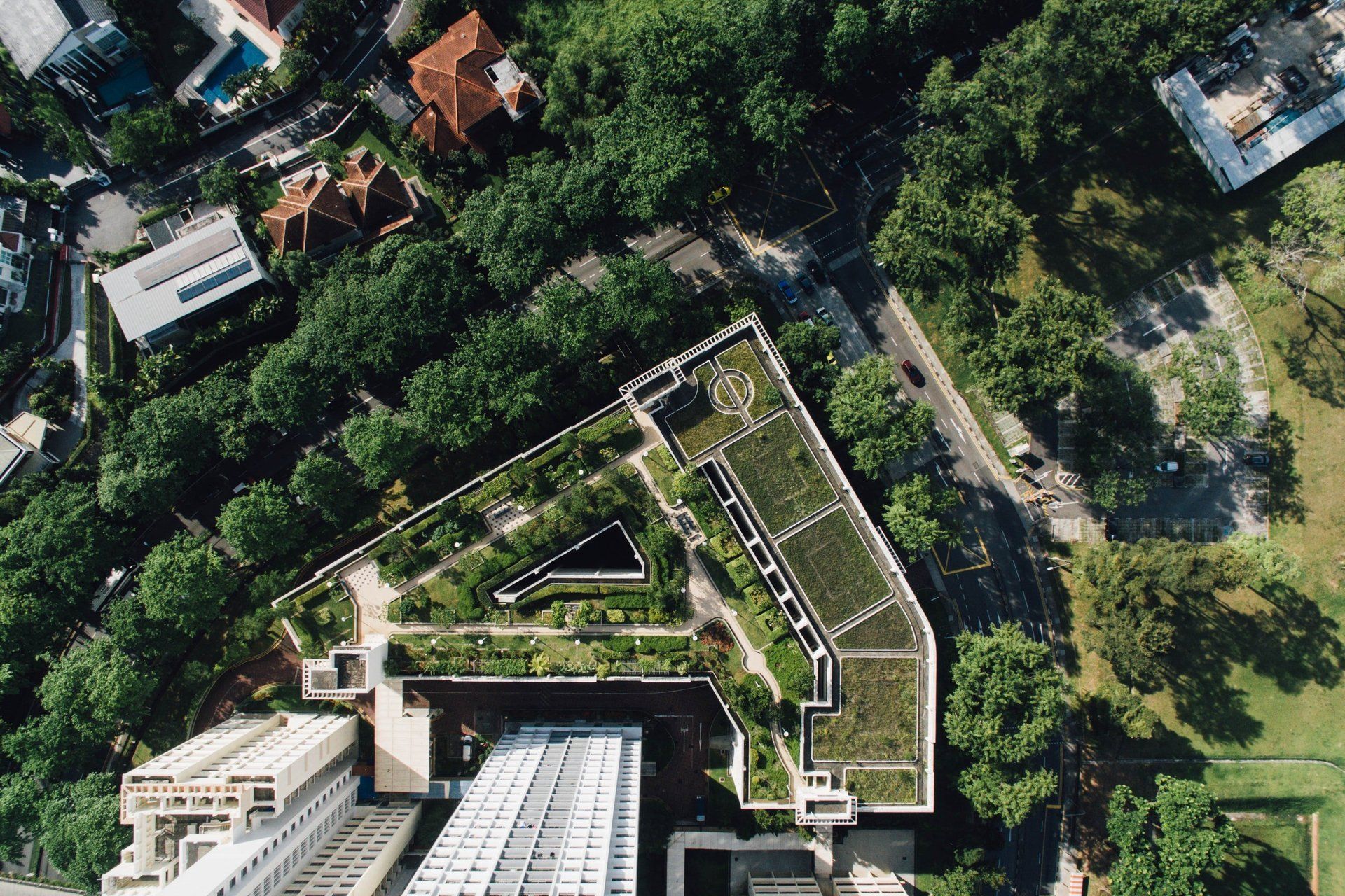 Green roofing