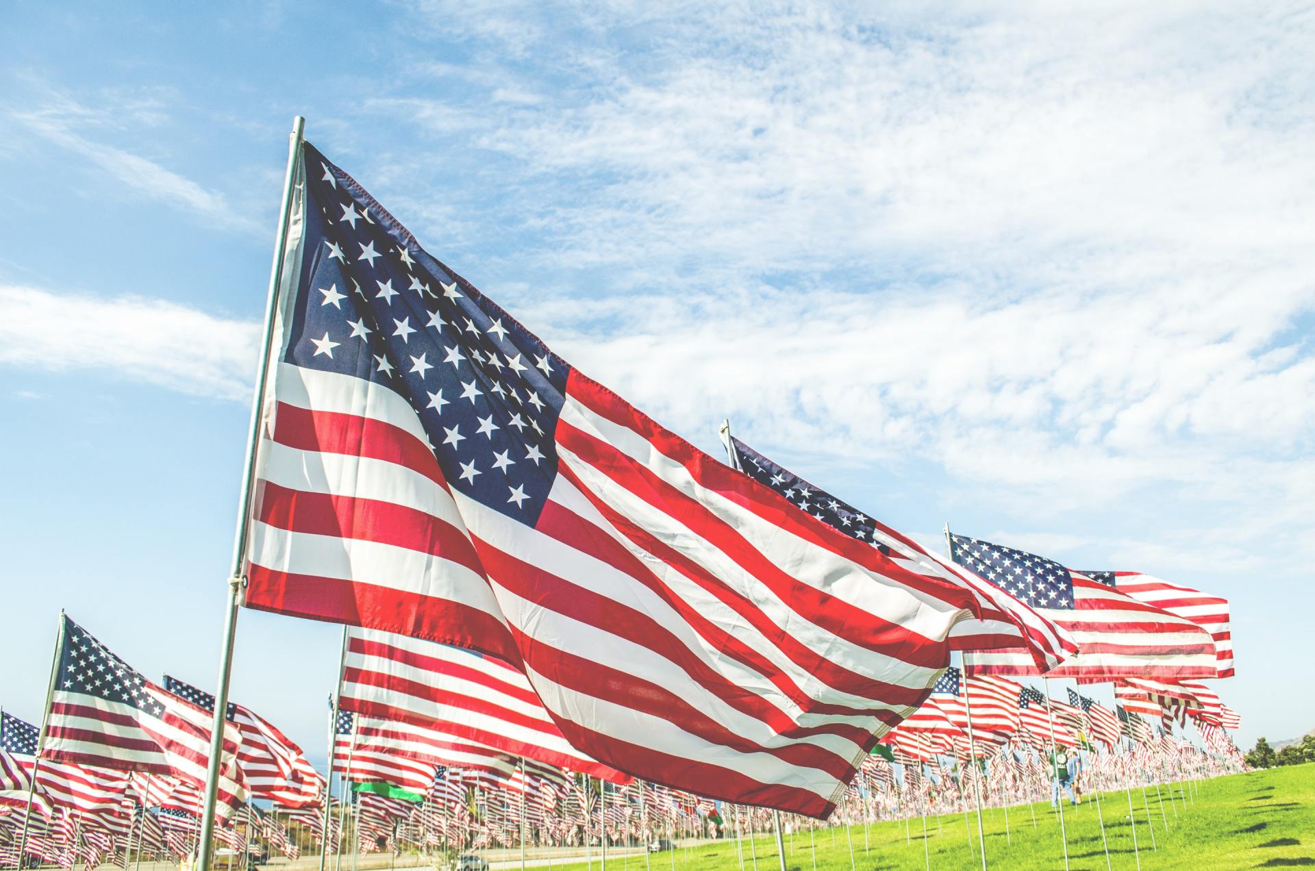 A bunch of american flags are waving in the wind in a field.