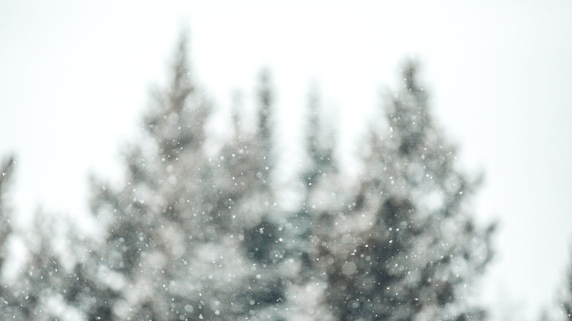decorative snow