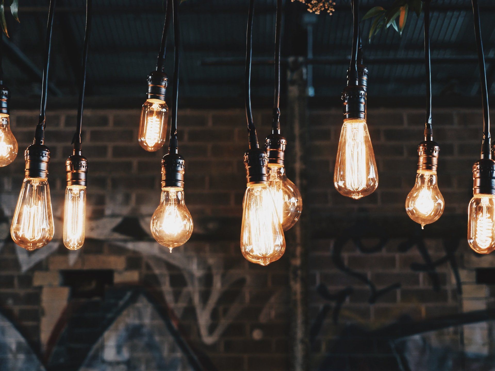 A bunch of light bulbs are hanging from the ceiling in a dark room.