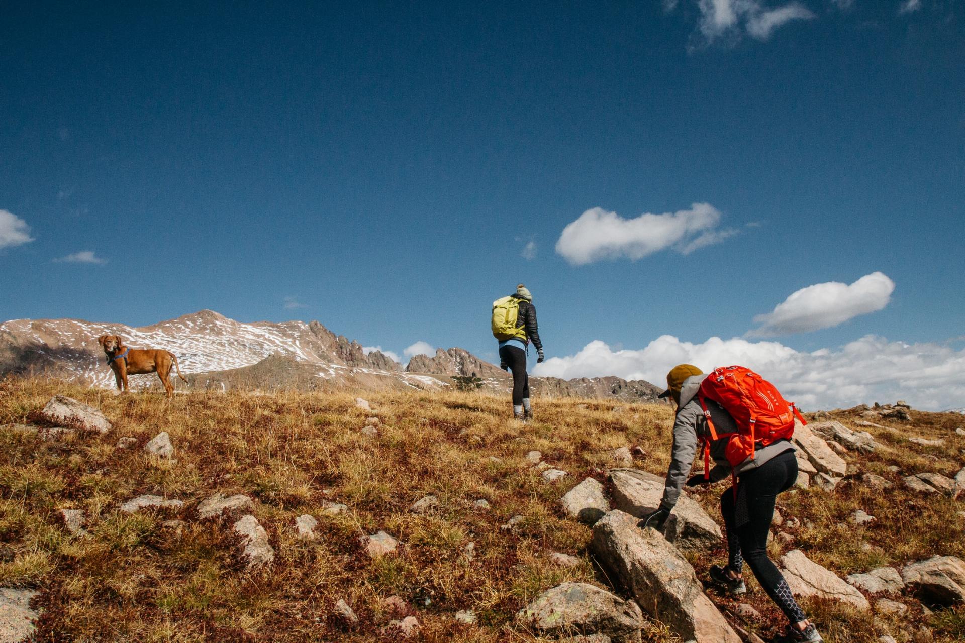 Two people are hiking up a mountain with a dog.