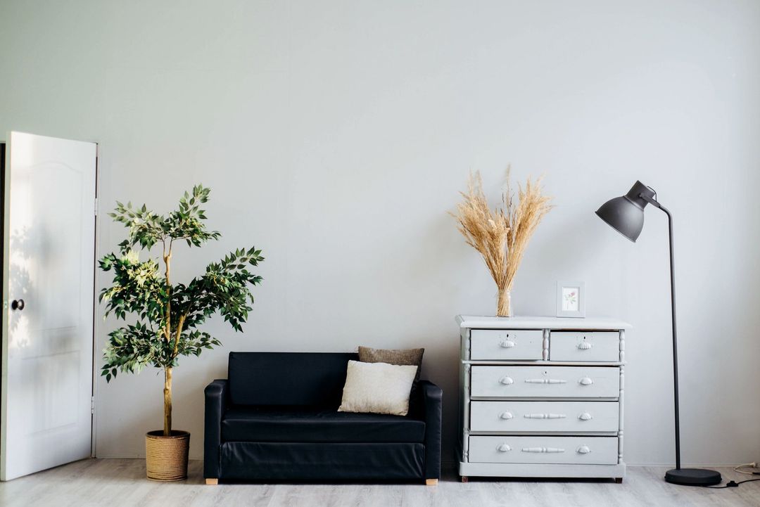 room interior - couch and dresser with plants