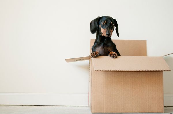 unpacking services