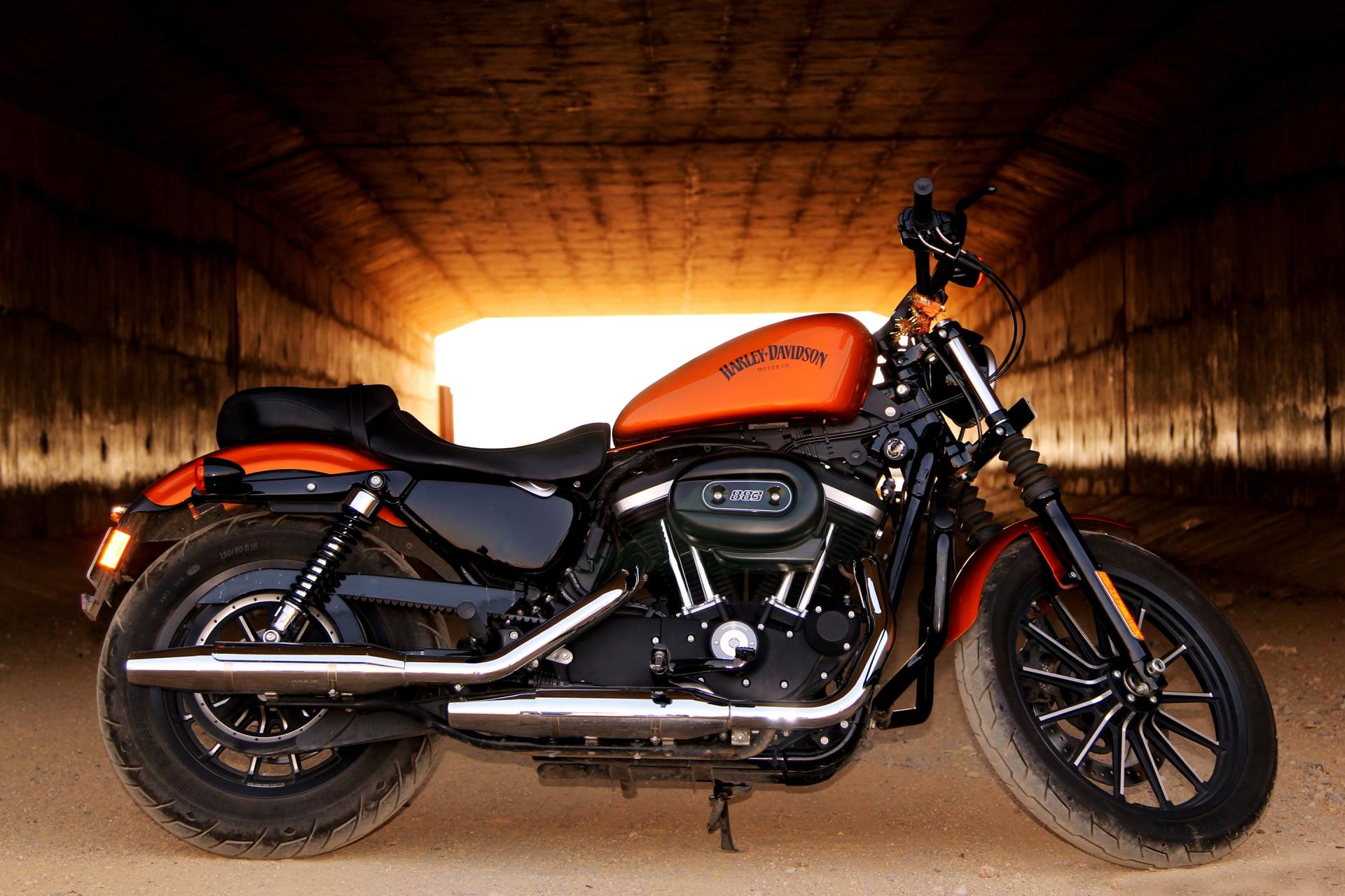 orange & black harley davidson