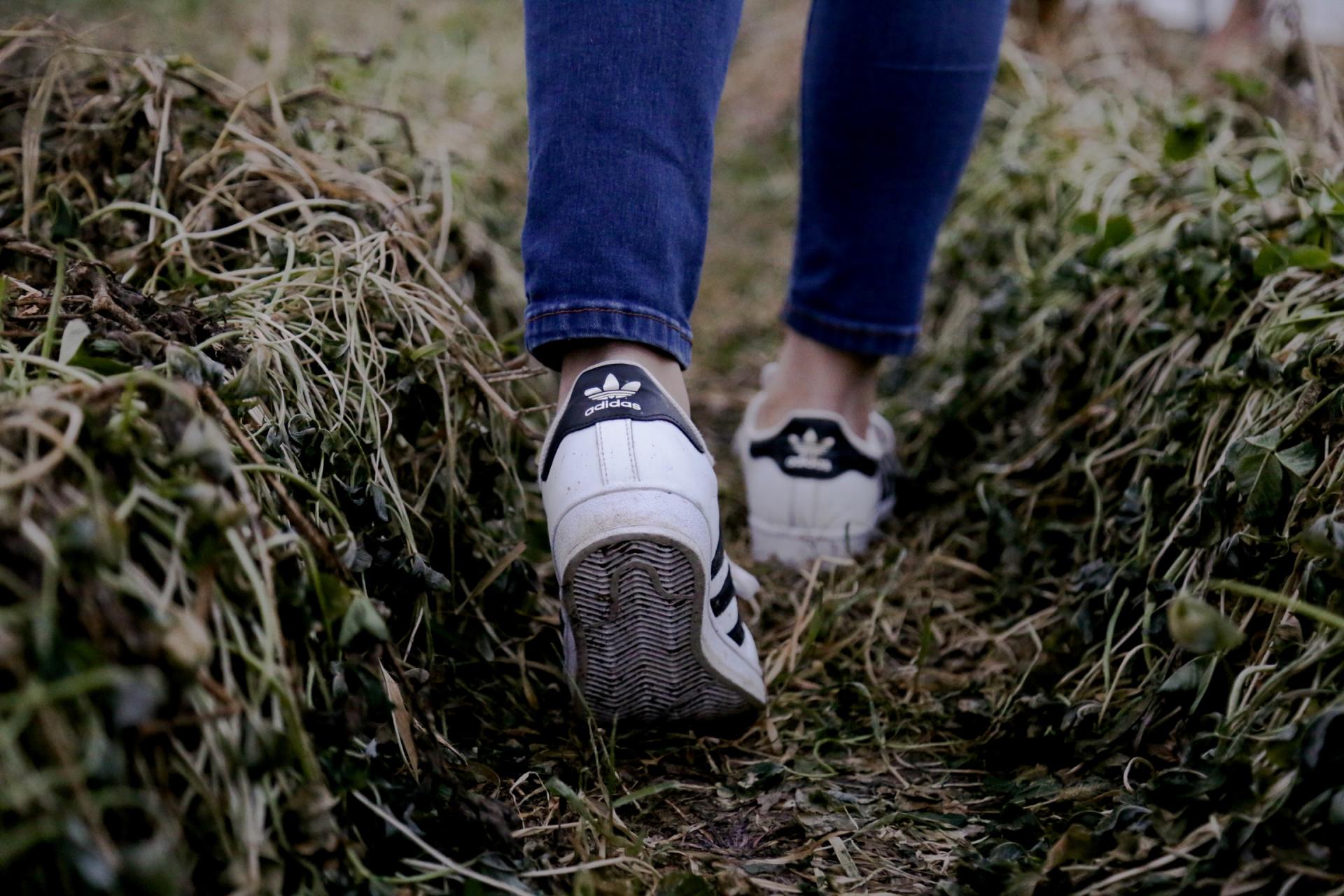 ¿Qué Significa Caminar el Camino?