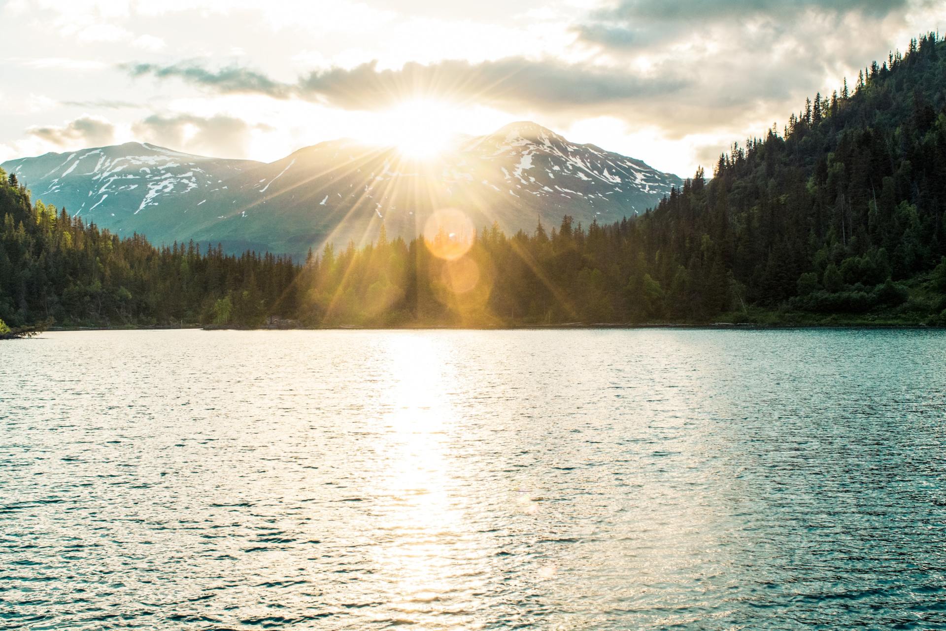 Sightseeing - Things to Do - Bell in The Woods - Seward, AK