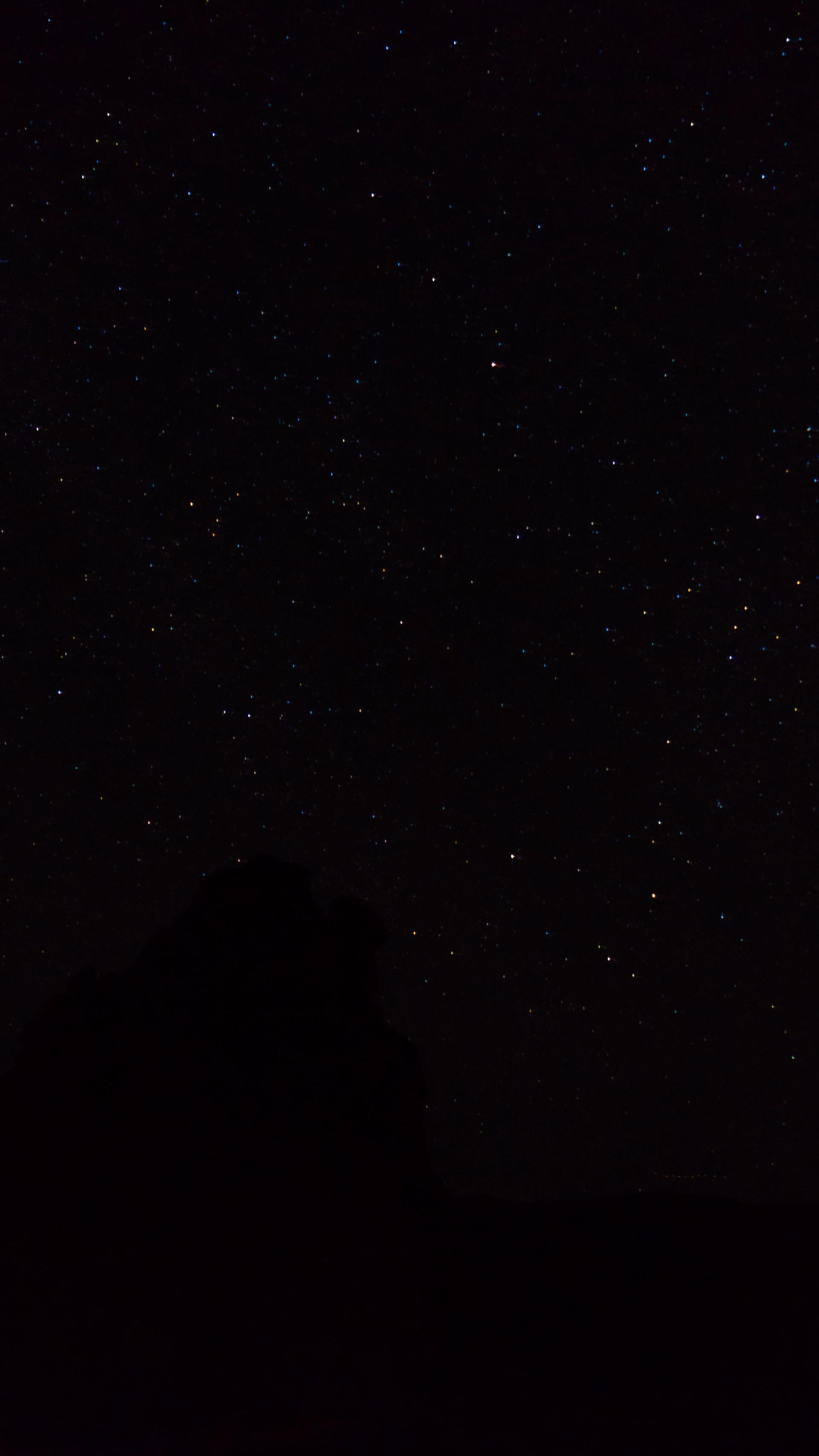 There are many stars in the night sky.