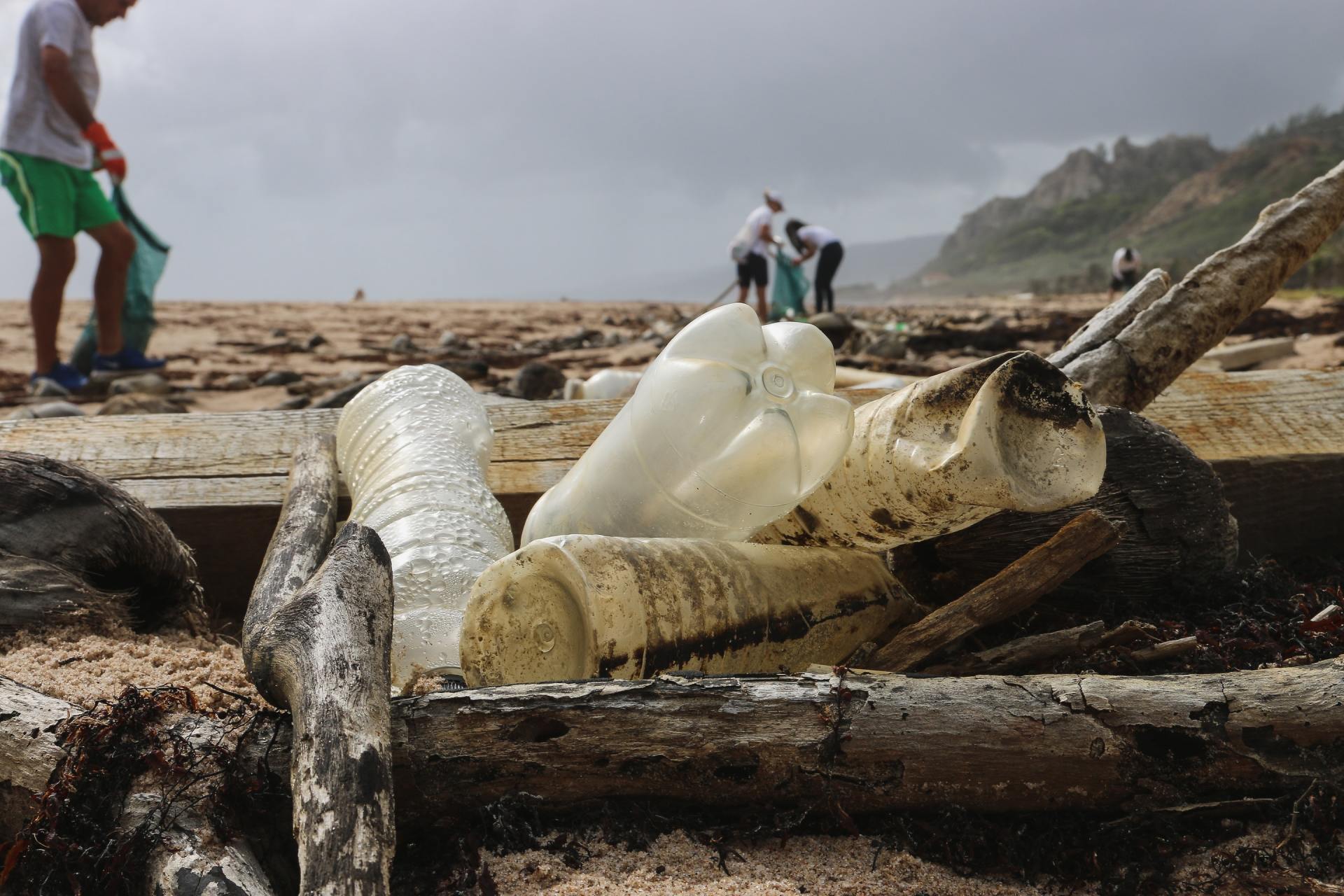 A group of people are picking up trash on a beach