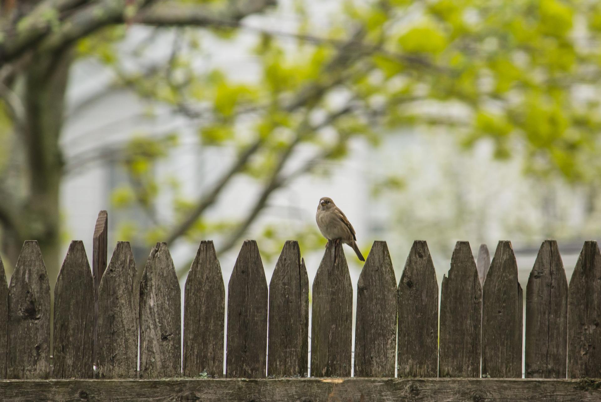 fence installation batavia IL