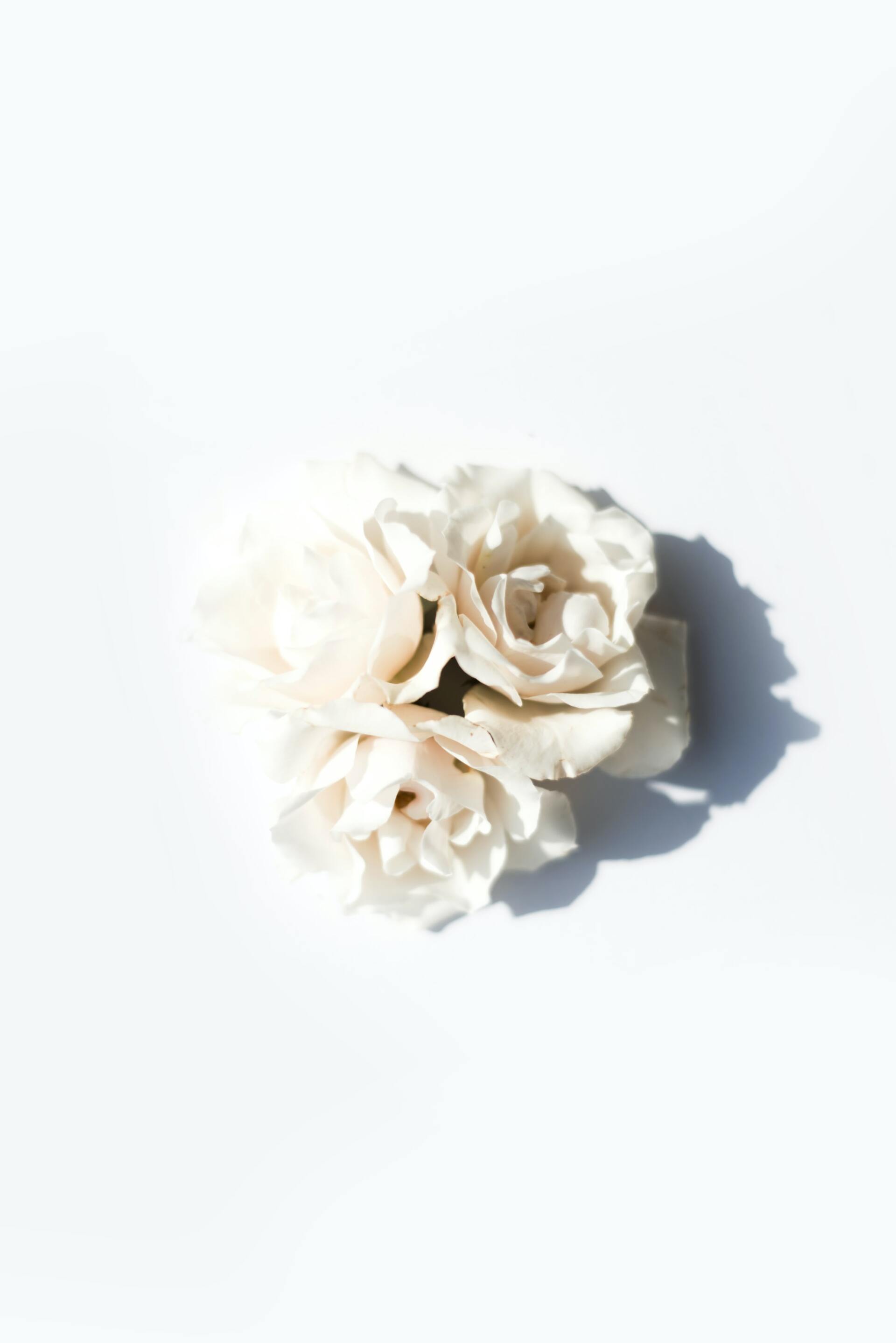 Bouquet bianco