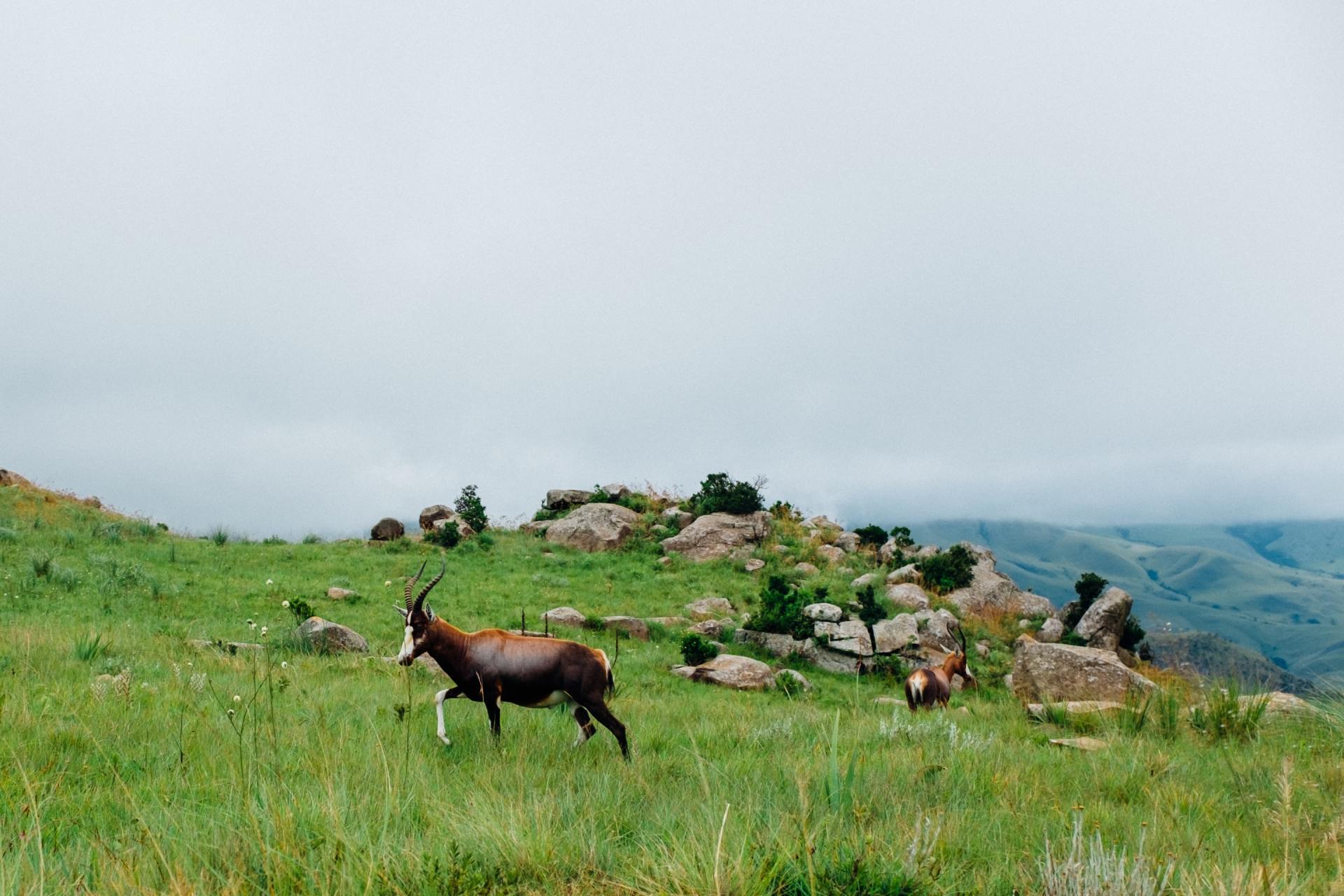 Best time to go to The Serengeti