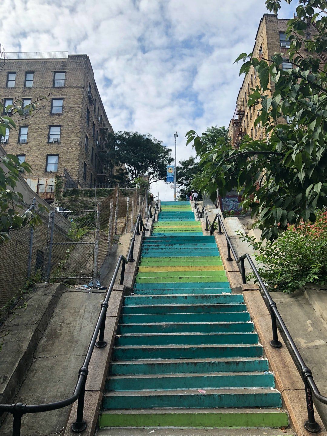 bronx