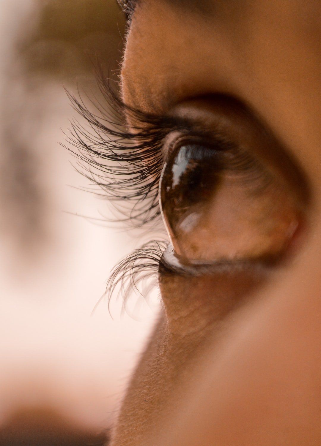 Contact lense in eye - Tropic Optics