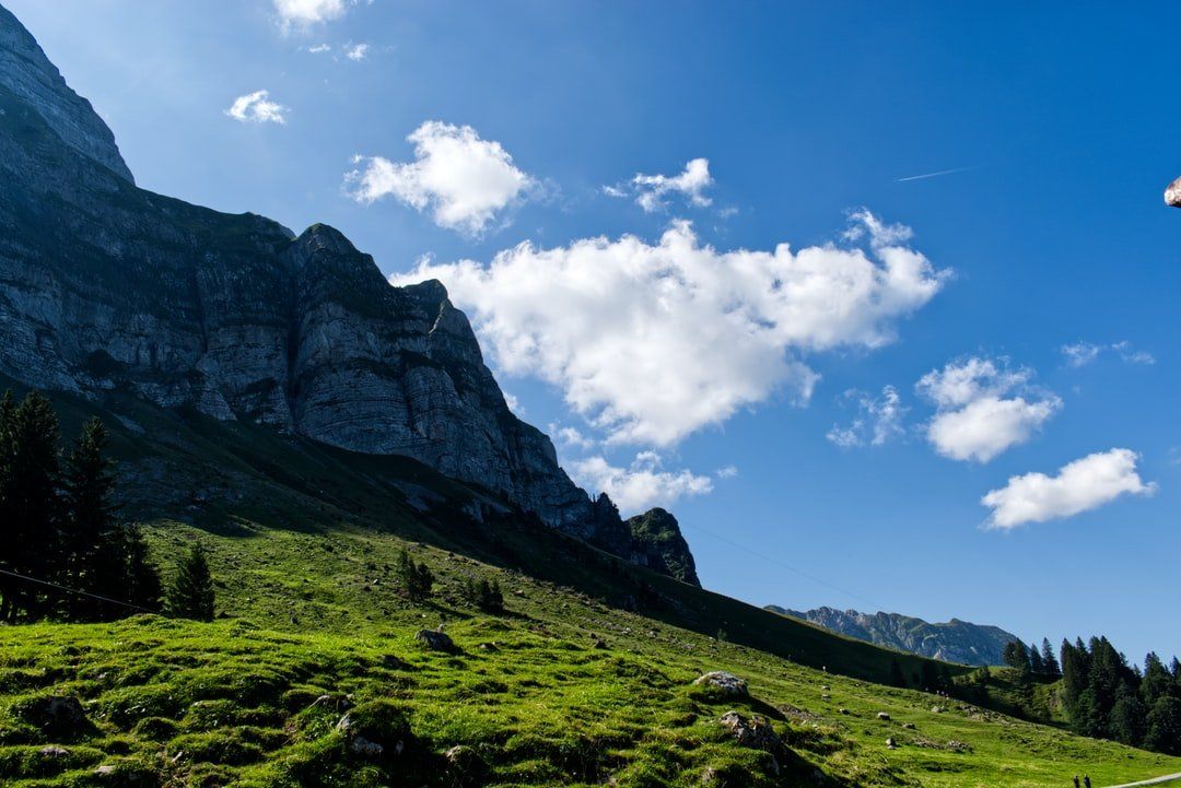 Ein grasbewachsener Hügel mit Bergen im Hintergrund