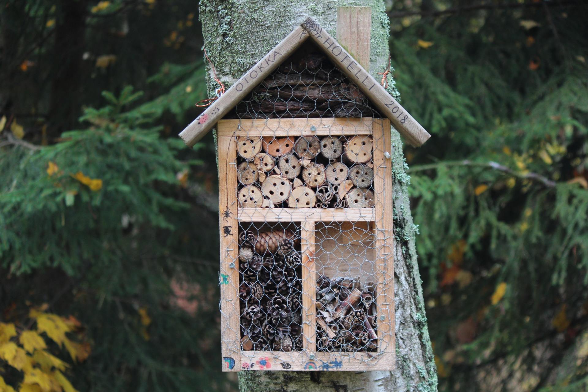 Lekker knutselen; zelf een insectenhotel maken