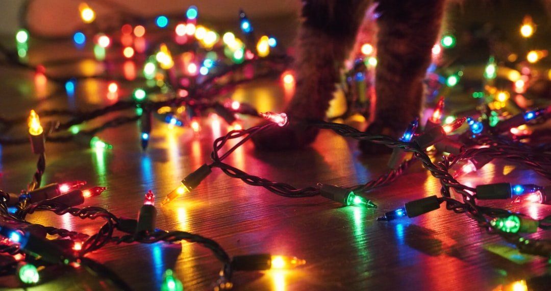 A cat is standing next to a bunch of christmas lights on the floor.