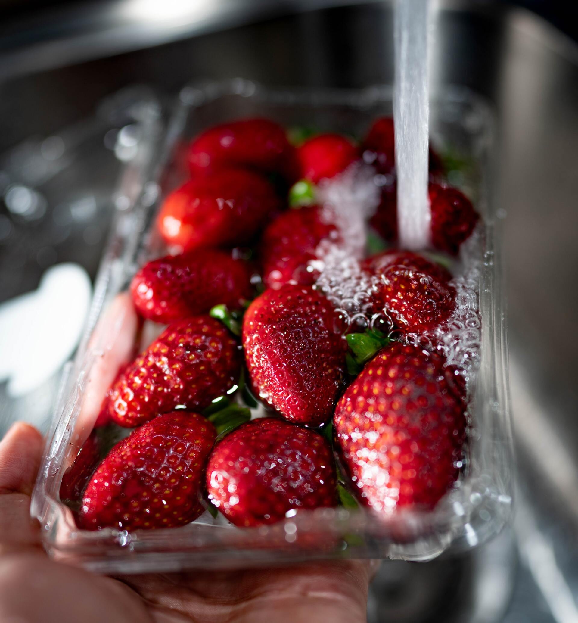 water purification clean food