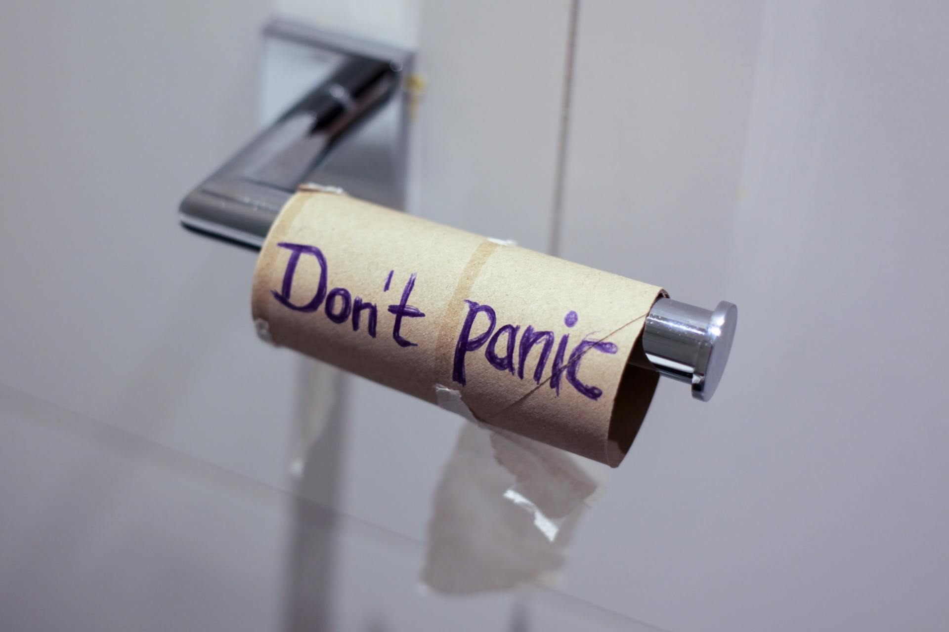 heavy toilet should not be flushed into a septic system