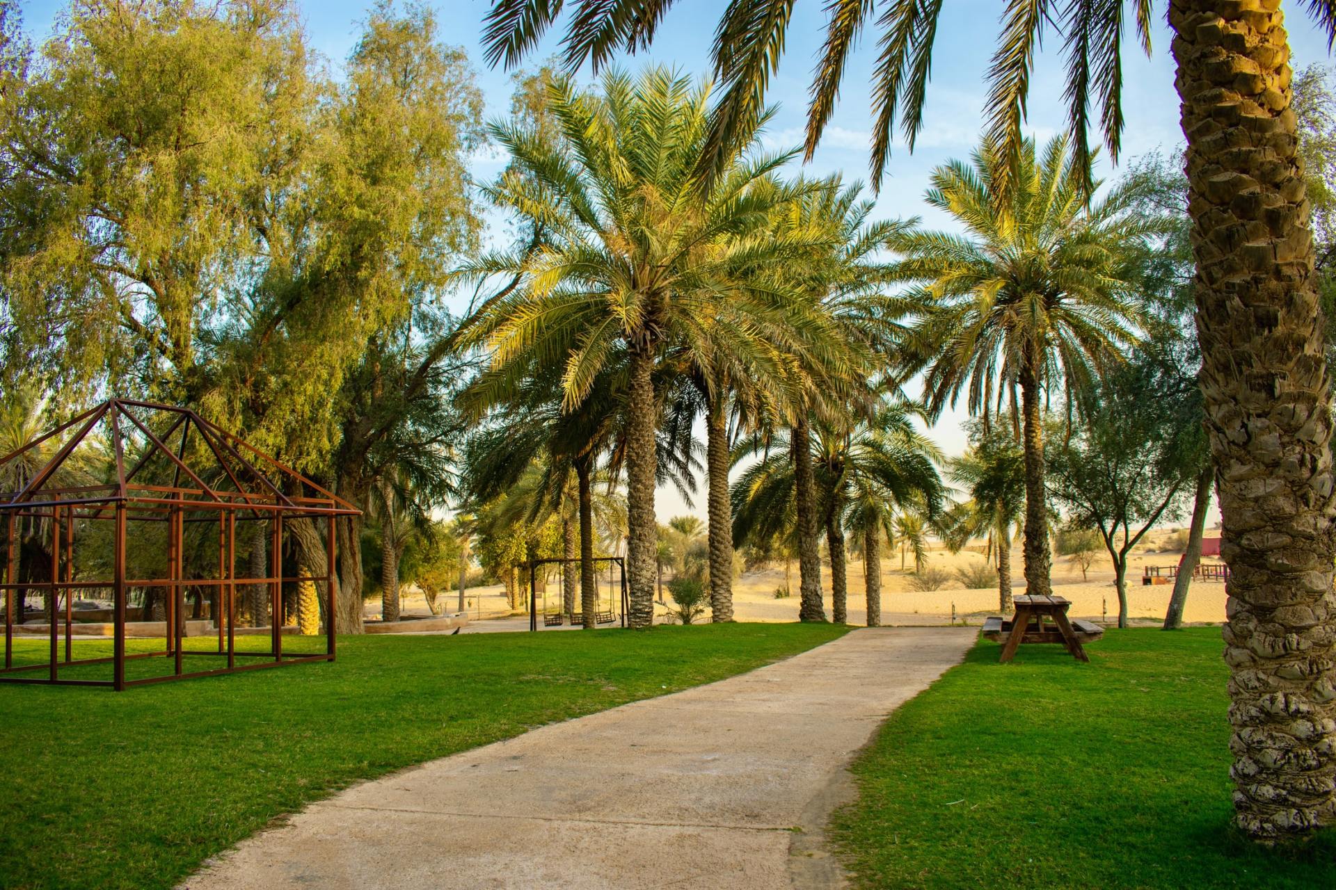 grass area