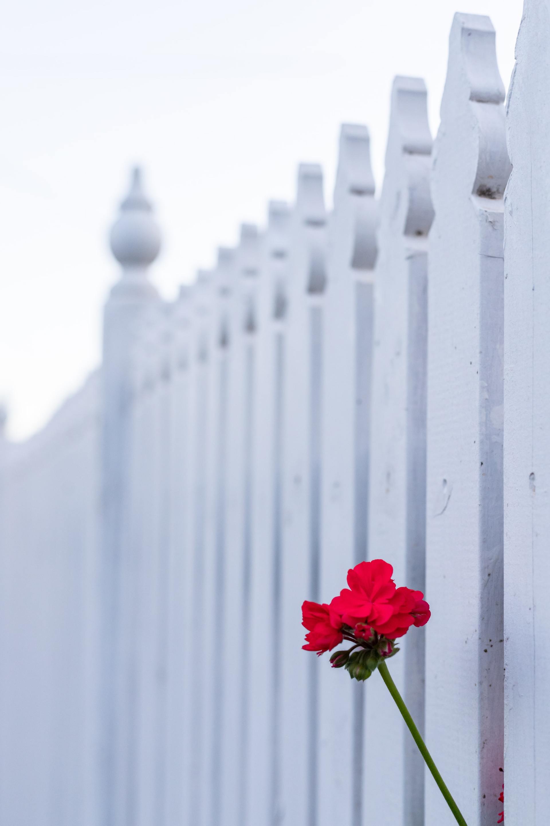 Fence Company Naperville IL
