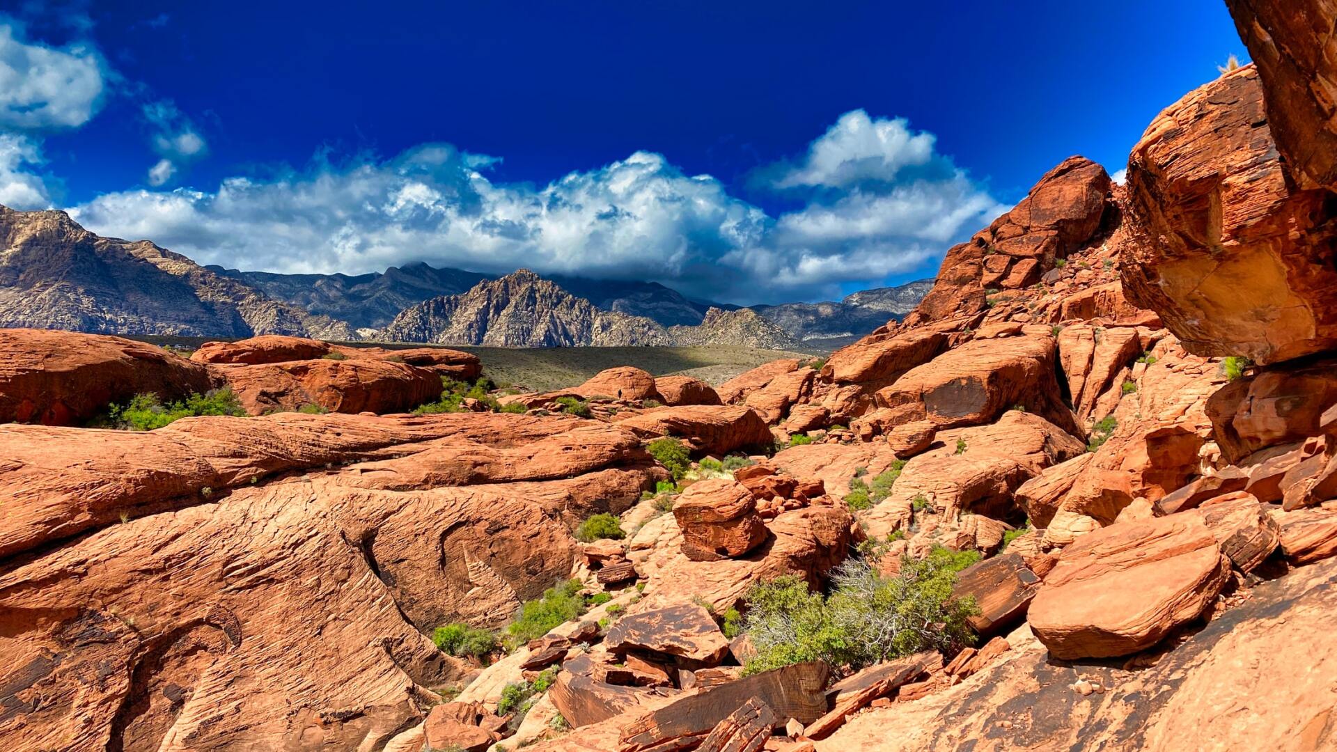A desert landscape with rocks and mountains in the background