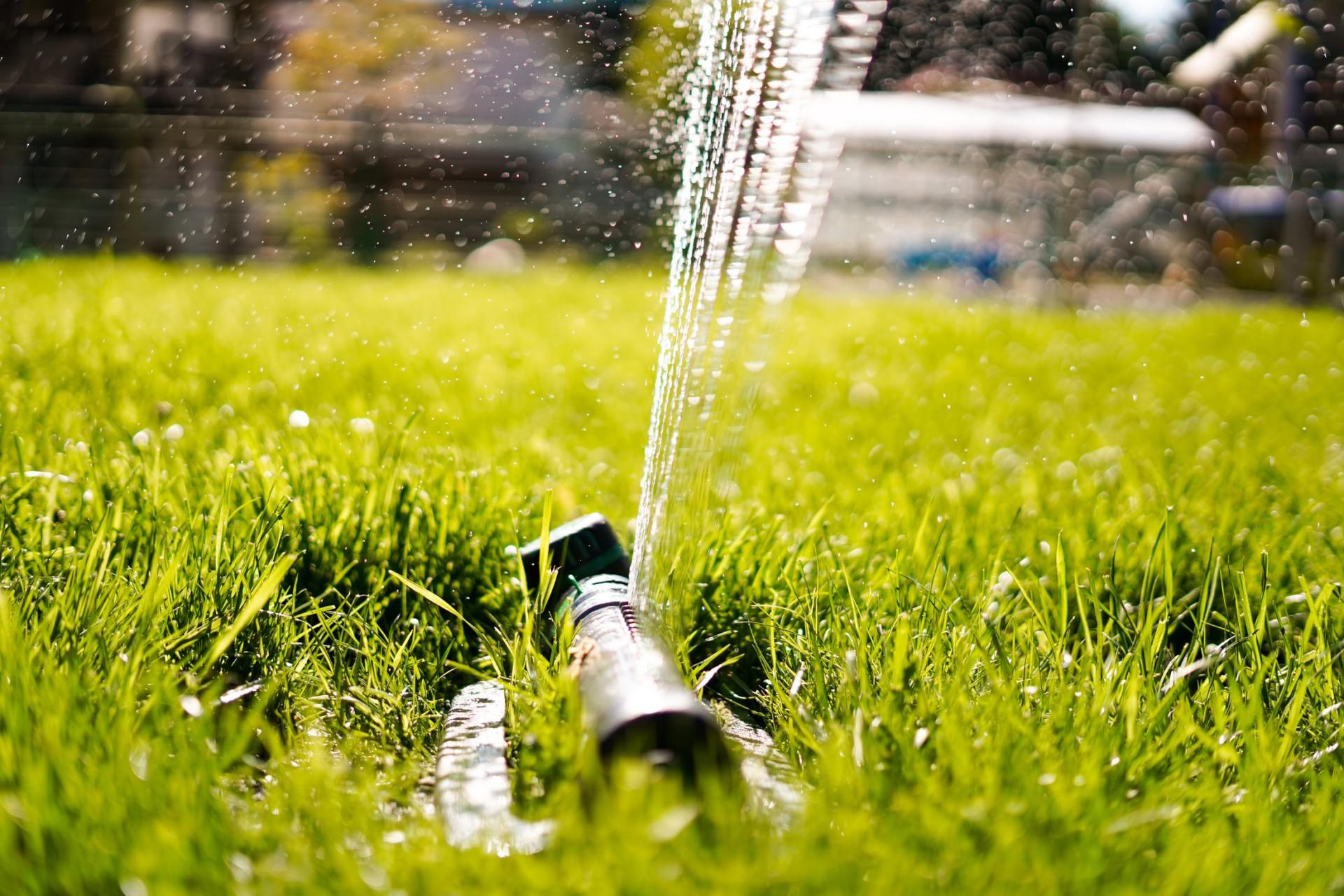 Sprinkler spraying water onto a vibrant green lawn on a sunny day.